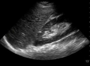 Creative Commons images