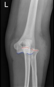 Creative Commons images