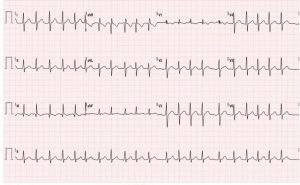 Creative Commons images