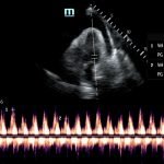 Creative Commons images