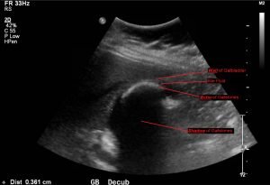 Creative Commons images