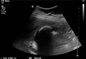 Creative Commons images