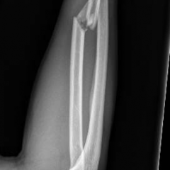 Creative Commons images