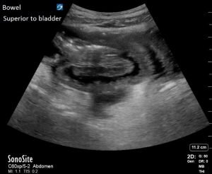 Creative Commons images