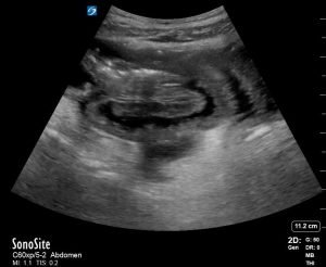 Creative Commons images