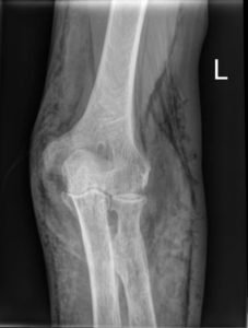 Creative Commons images