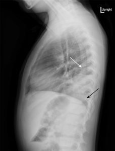 Creative Commons images