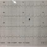 Creative Commons images