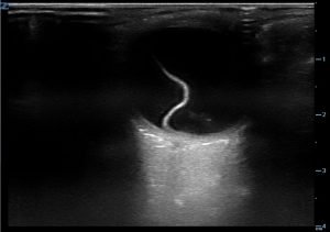 Creative Commons images