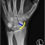 Creative Commons images