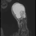 Creative Commons images