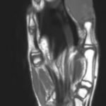 Creative Commons images