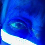 Creative Commons images