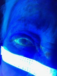 Creative Commons images