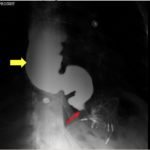 Creative Commons images