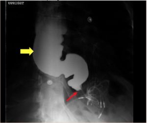 Creative Commons images