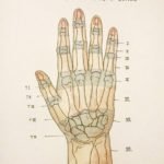 Creative Commons images