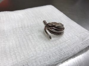 Creative Commons images