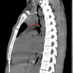 Creative Commons images