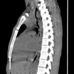 Creative Commons images