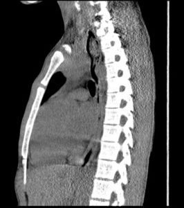 Creative Commons images