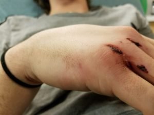 Creative Commons images