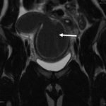 Creative Commons images