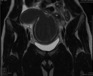 Creative Commons images