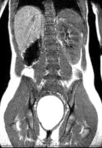 Creative Commons images