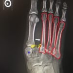 Creative Commons images