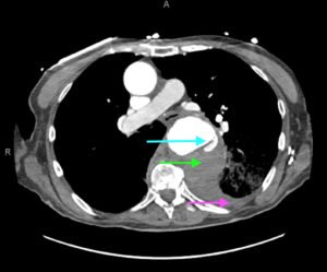 Creative Commons images