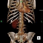 Creative Commons images