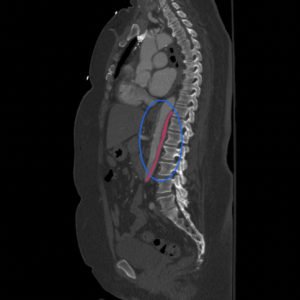 Creative Commons images