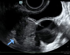 Creative Commons images