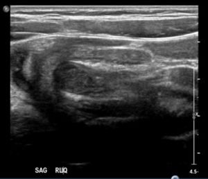 Creative Commons images