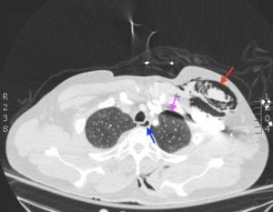 Creative Commons images