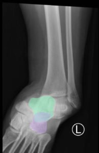 Creative Commons images