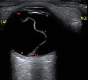 Creative Commons images