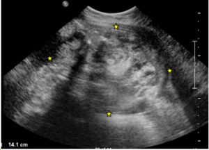 Creative Commons images