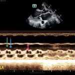 Creative Commons images