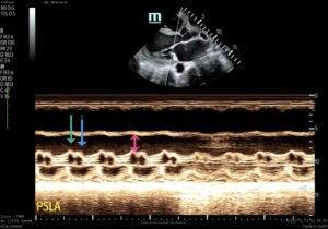 Creative Commons images