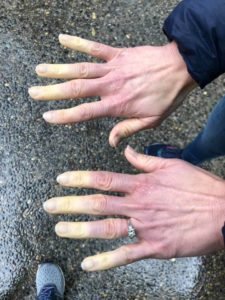 Creative Commons images