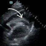 Creative Commons images