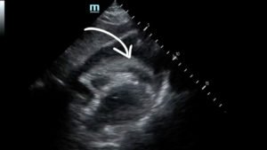 Creative Commons images