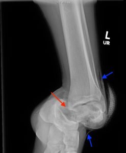 Creative Commons images