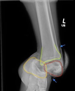 Creative Commons images