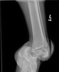 Creative Commons images