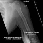 Creative Commons images