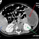 Creative Commons images