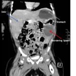 Creative Commons images